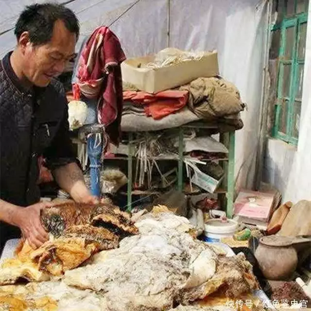 2015年，东北一农民偶然捡到140斤的太岁，切开后买了300万