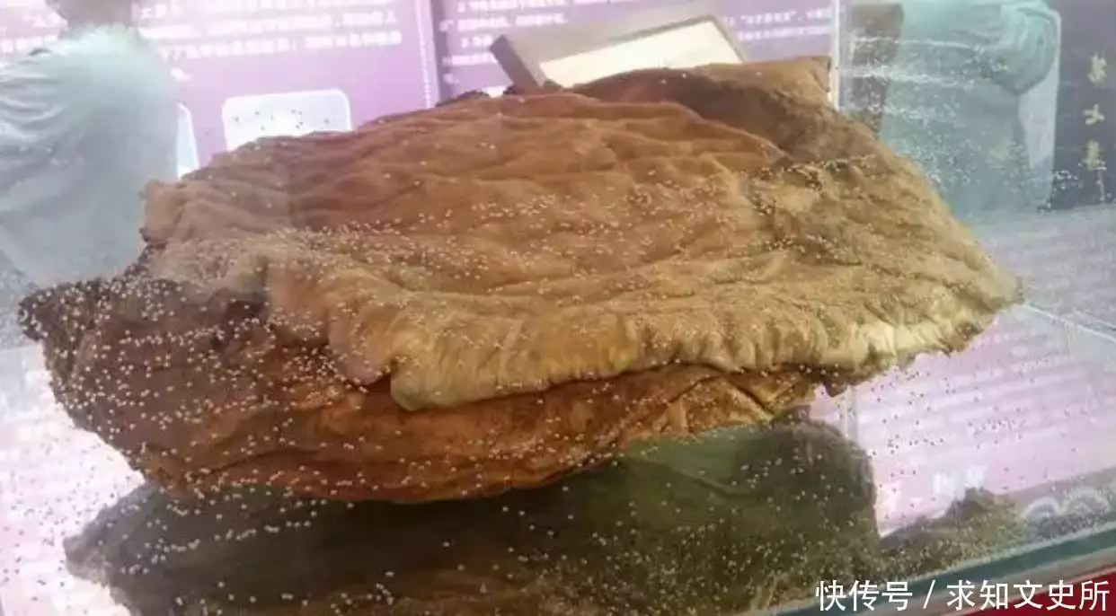 太岁究竟是什么“东西”？中国科学家精密仪器检测揭示太岁之谜