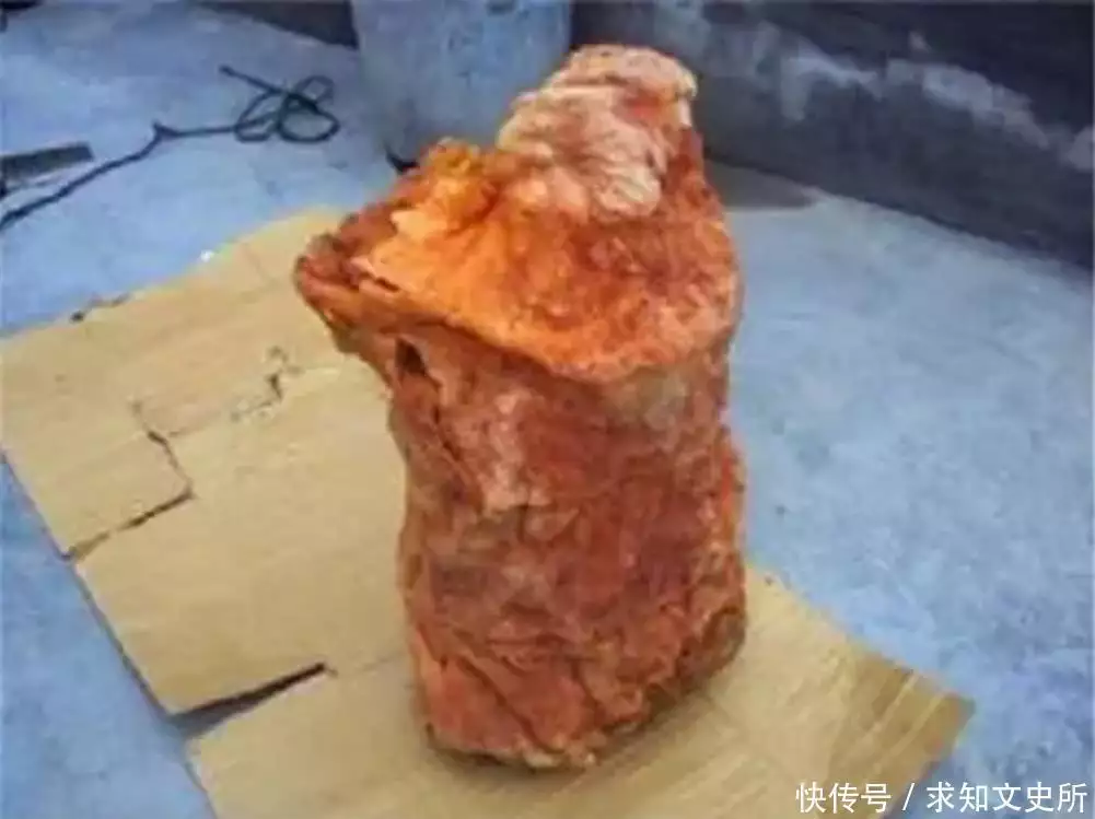 太岁究竟是什么“东西”？中国科学家精密仪器检测揭示太岁之谜