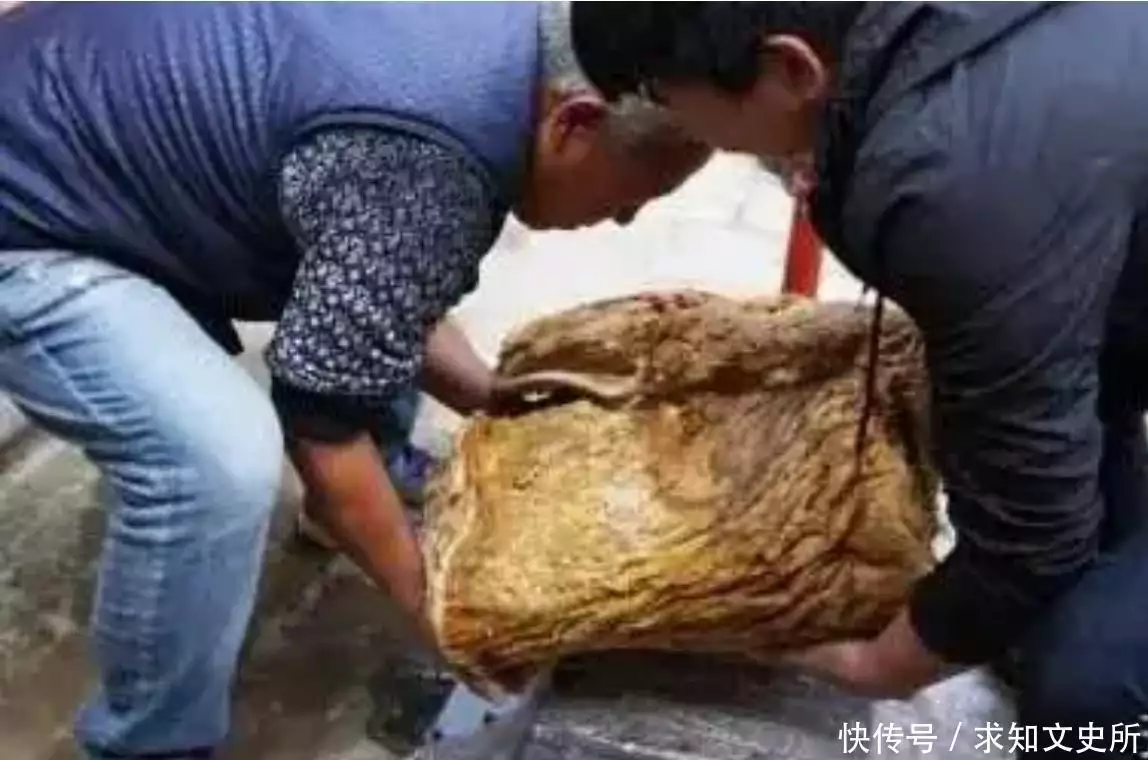 太岁究竟是什么“东西”？中国科学家精密仪器检测揭示太岁之谜