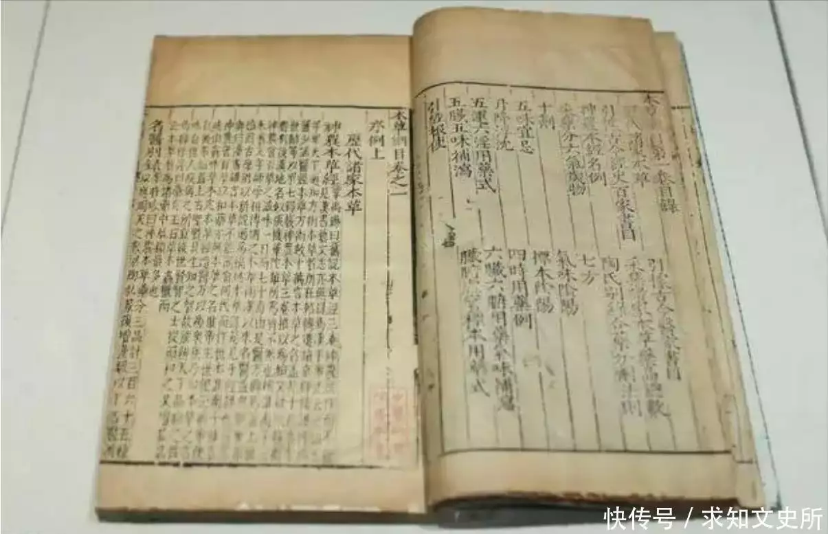 太岁究竟是什么“东西”？中国科学家精密仪器检测揭示太岁之谜