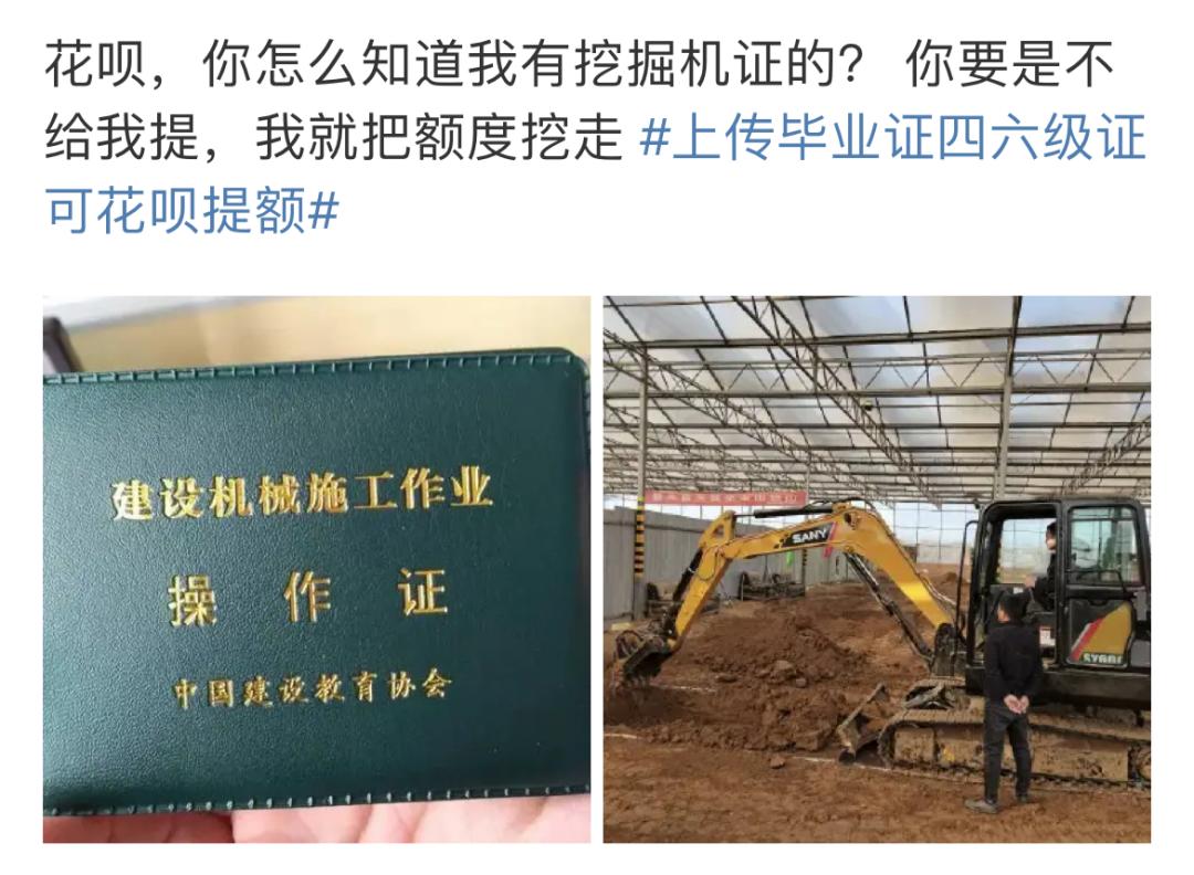 花呗花式劝学！网友晒证卷出新高度