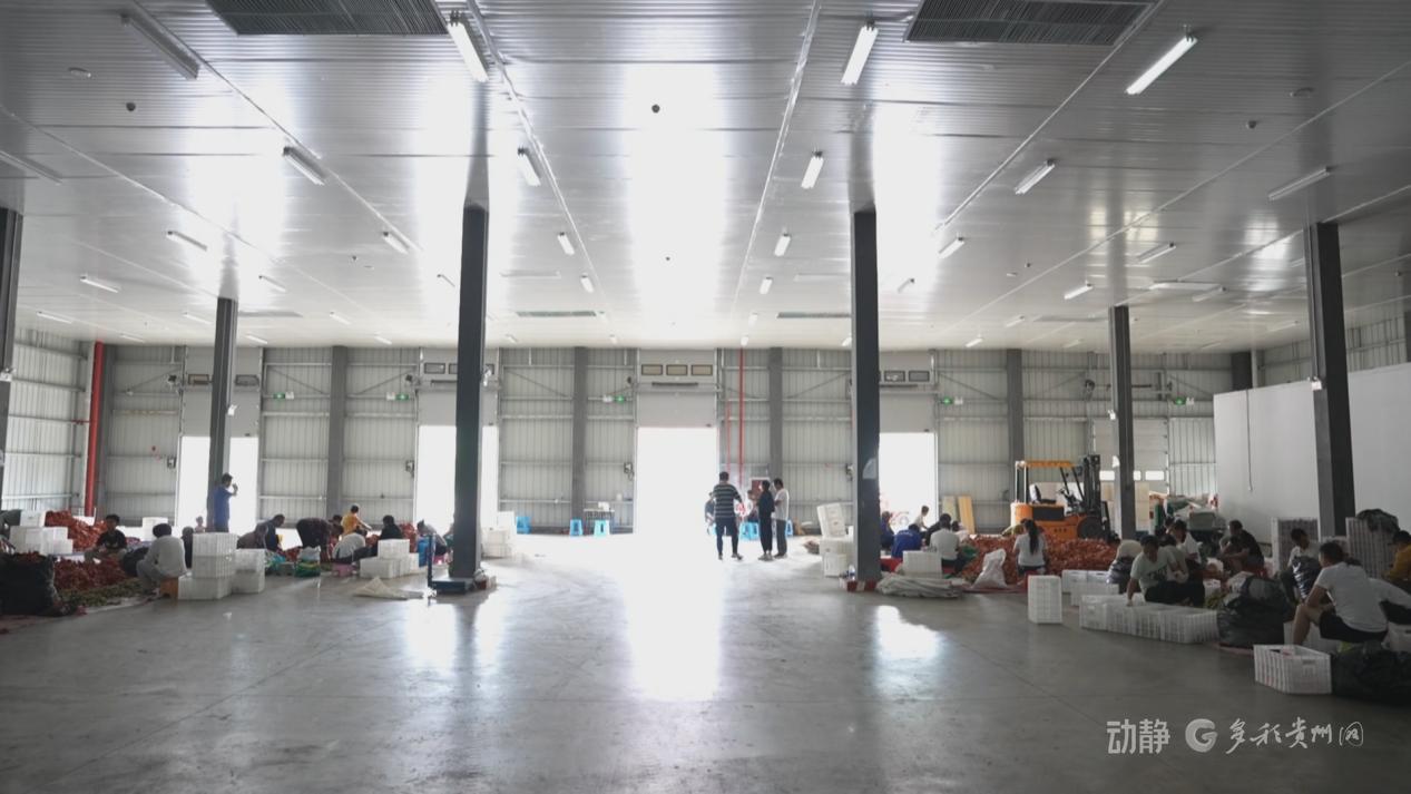 六盘水：推进国家骨干冷链物流基地建设，助推经济发展
