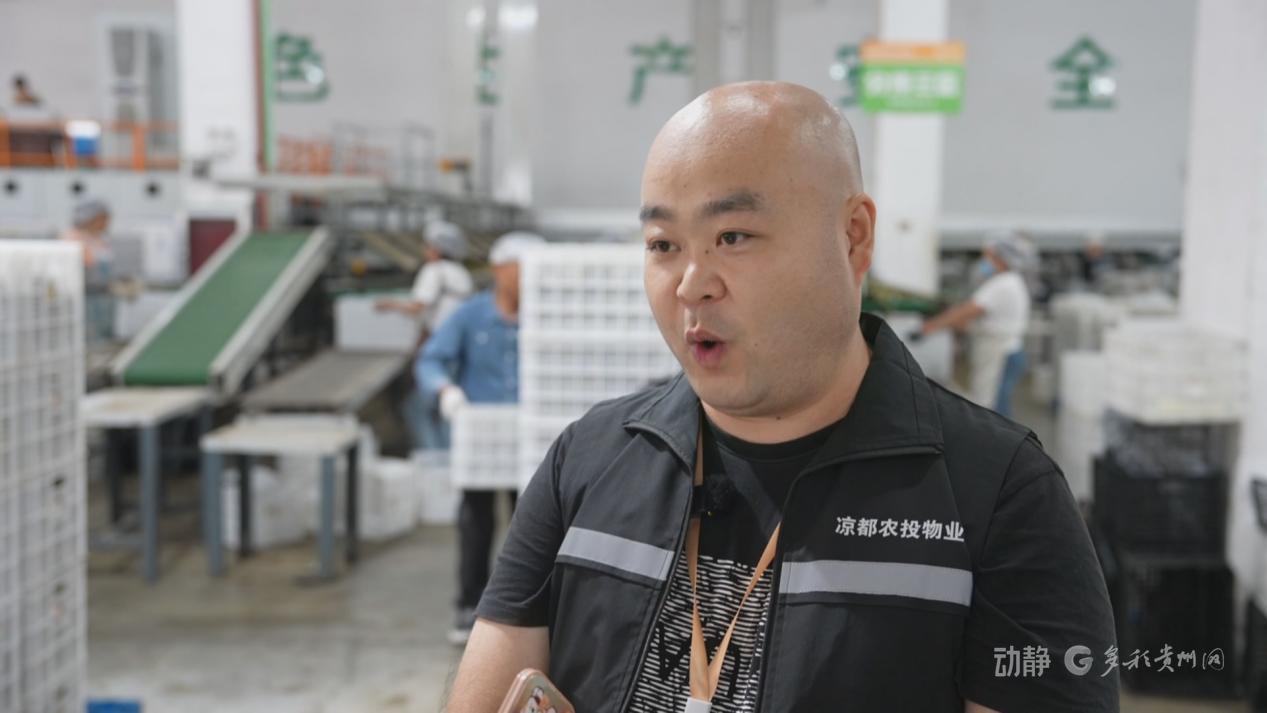六盘水：推进国家骨干冷链物流基地建设，助推经济发展