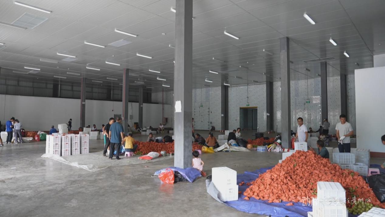 六盘水：推进国家骨干冷链物流基地建设，助推经济发展