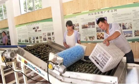 “国”字助力 冷链崛起——六盘水探索推进国家骨干冷链物流基地建设