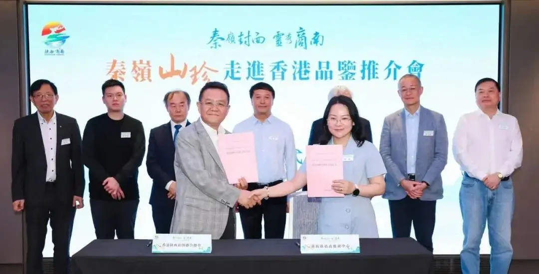 看商洛·2024|商南县：锐意进取勇争先 奋楫扬帆启新程