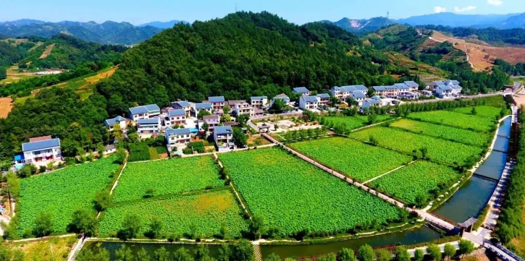 看商洛·2024|商南县：锐意进取勇争先 奋楫扬帆启新程