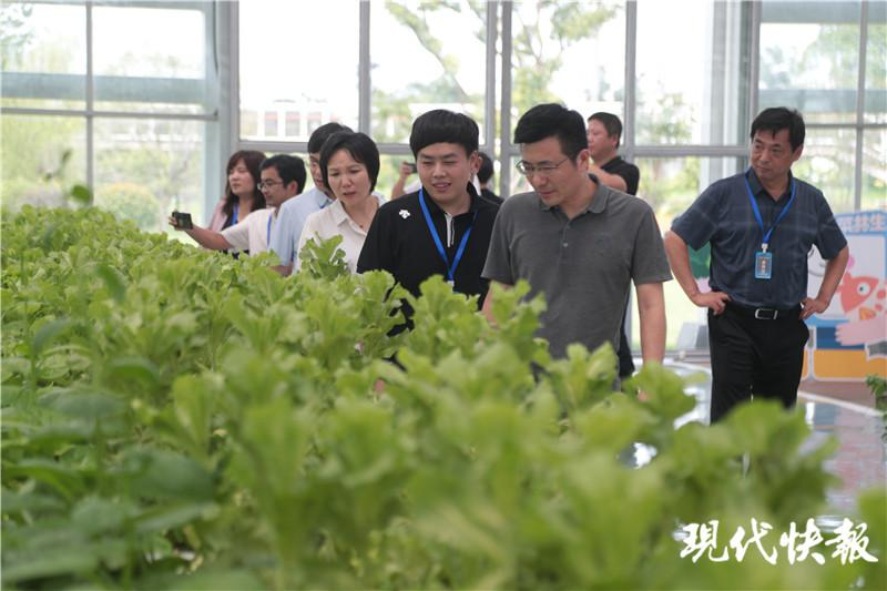 走读无锡，探寻发展故事背后的“蝶变密码”