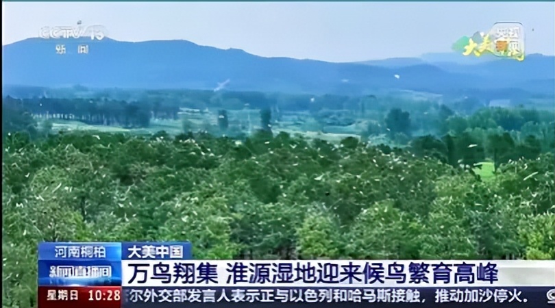 央视聚焦30余次！河南文旅多彩活动畅爽一夏