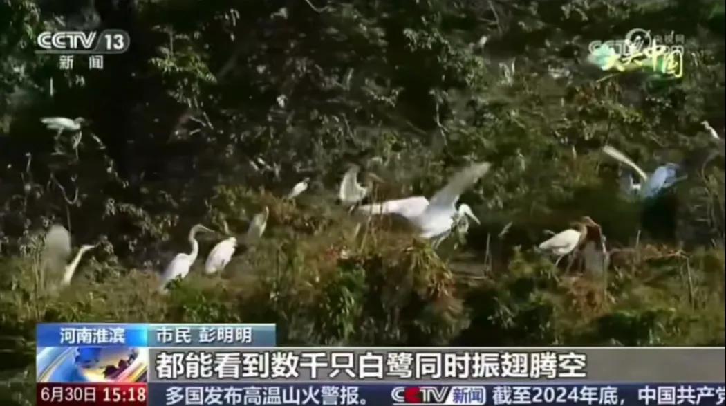 央视聚焦30余次！河南文旅多彩活动畅爽一夏