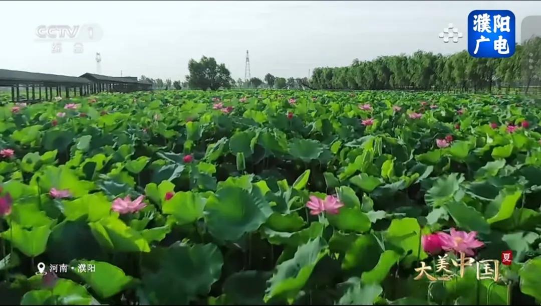 央视聚焦30余次！河南文旅多彩活动畅爽一夏