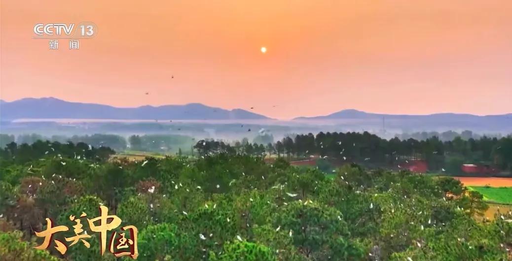 央视聚焦30余次！河南文旅多彩活动畅爽一夏
