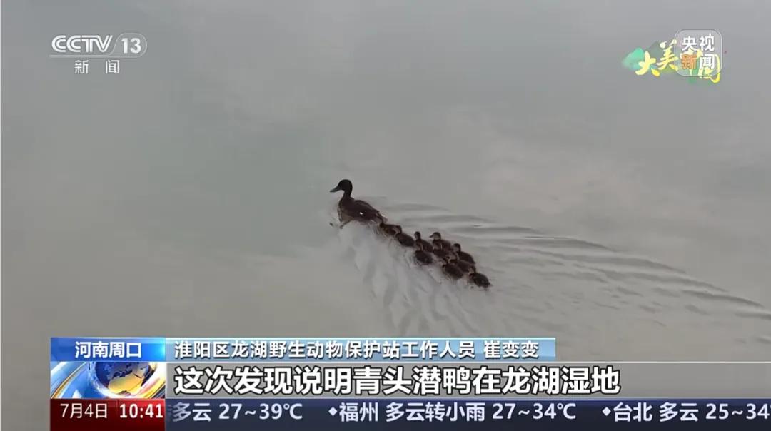 央视聚焦30余次！河南文旅多彩活动畅爽一夏