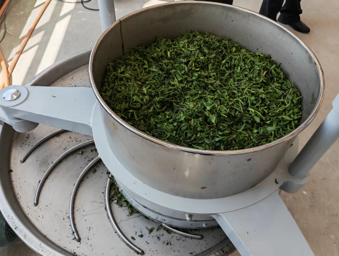 法治是最好的营商环境||春光不负制茶人，法治助力促振兴