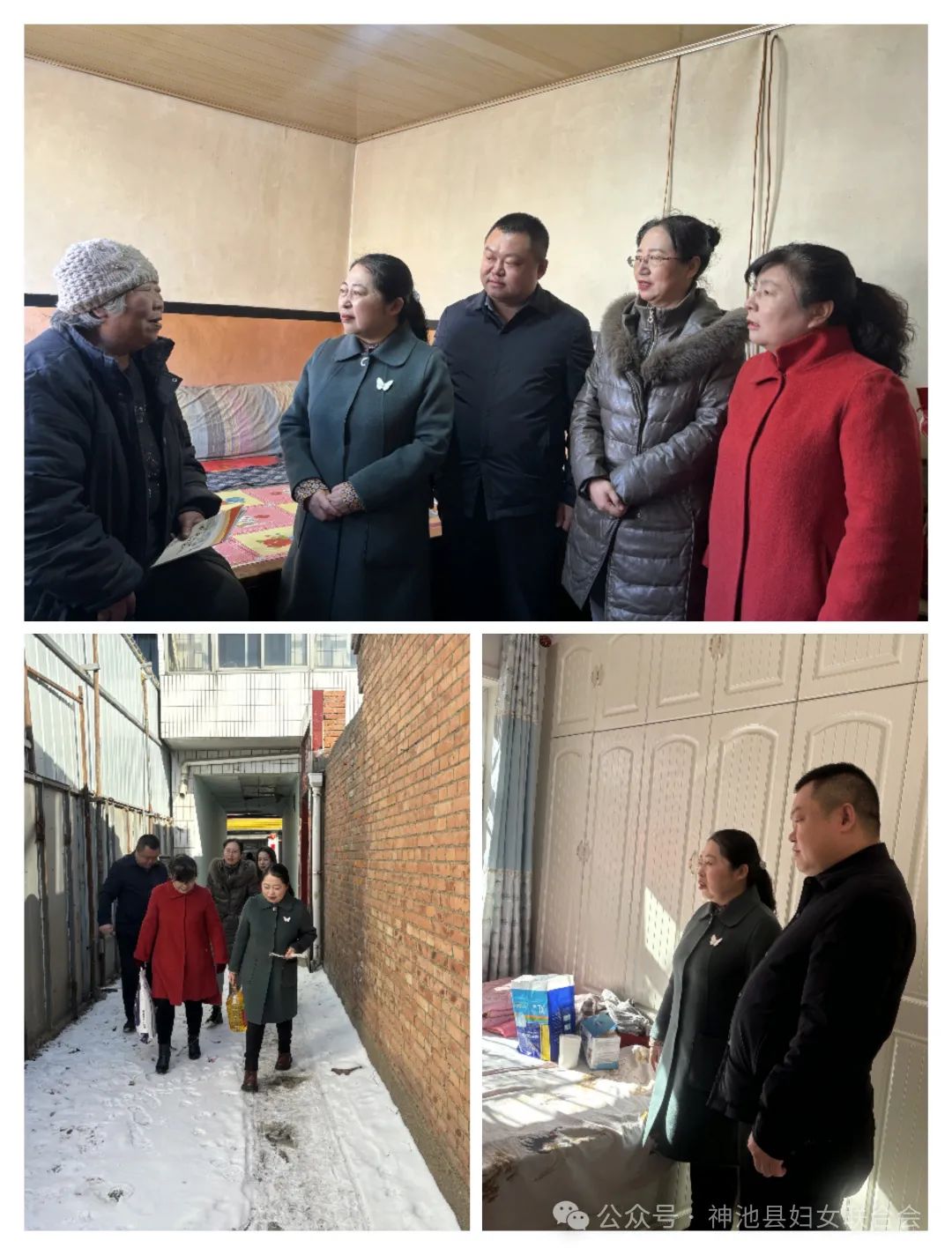 跟党奋进新征程 巾帼建功新时代 | 神池县妇联开展纪念第114个“三八”国际妇女节系列活动——走访…