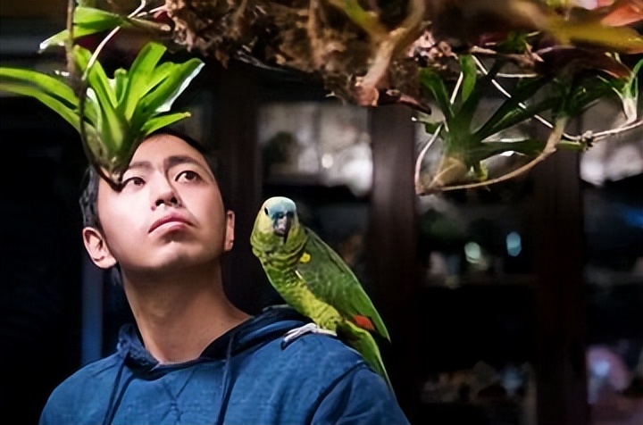 水哥王昱珩：赚钱，那是最简单的事！最强大脑成名后疯狂圈钱？