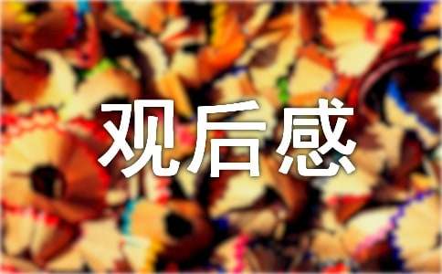 《新闻大求真》观后感