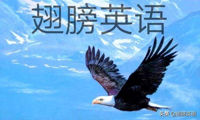 B. 英文标点符号使用详解