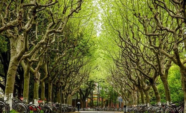 我国医学院校新一轮排名！复旦第三，中大第五，中南大学进军前十