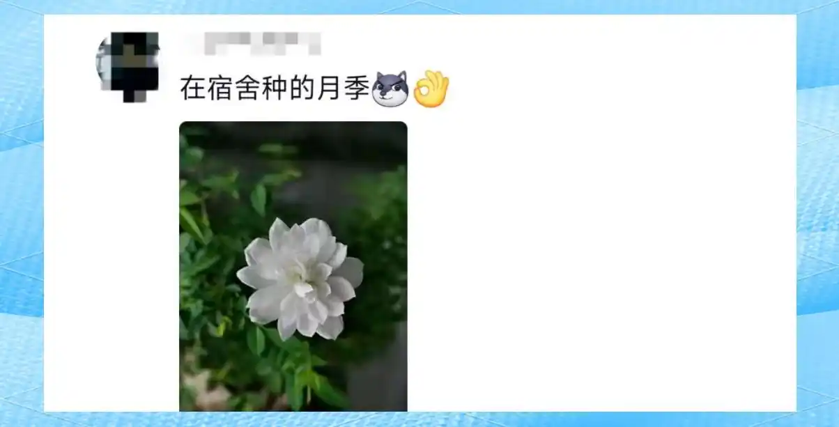 大学生宿舍：从豪华展示到温馨回忆