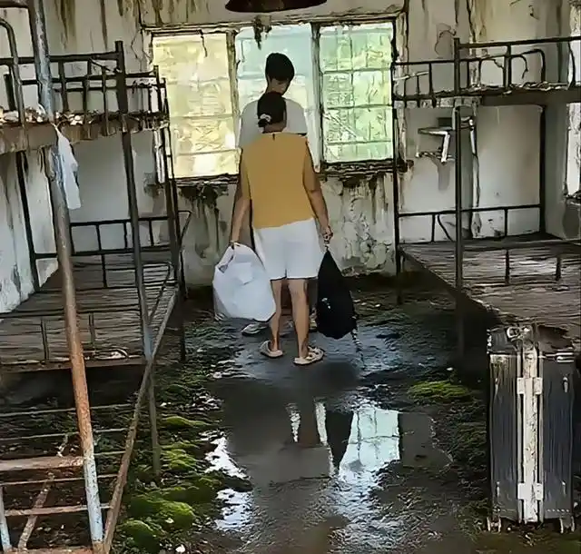 新生宿舍“步步惊心”？大学住宿安全成焦点，家长学生如何应对
