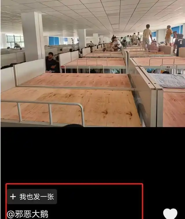 新生宿舍“步步惊心”？大学住宿安全成焦点，家长学生如何应对