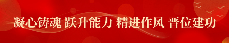 【双城新闻】双城区人大常委会视察民生和乡村振兴项目