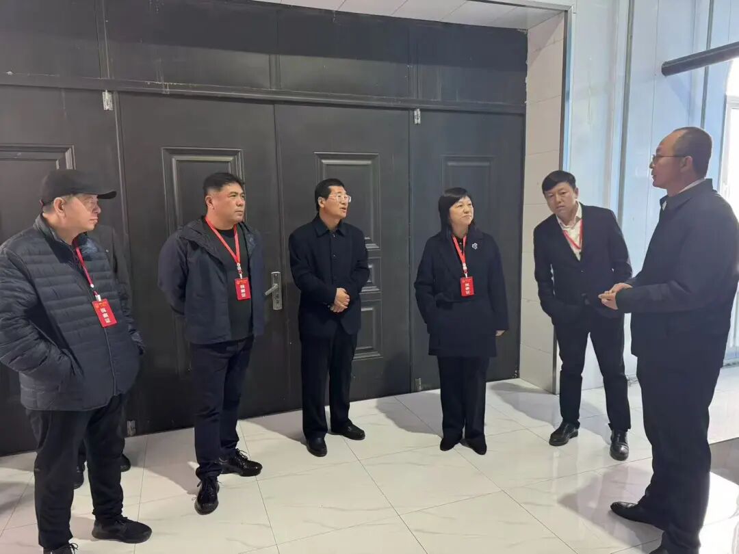 【双城新闻】双城区人大常委会视察民生和乡村振兴项目