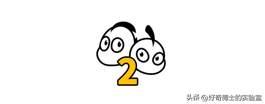嫖娼被抓之后，会有什么遭遇？
