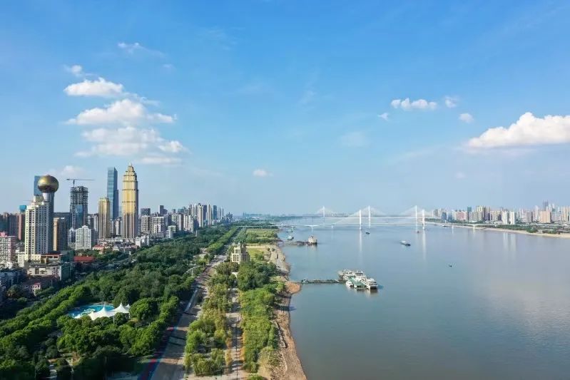 这个夏天，武汉端上科技与狠活