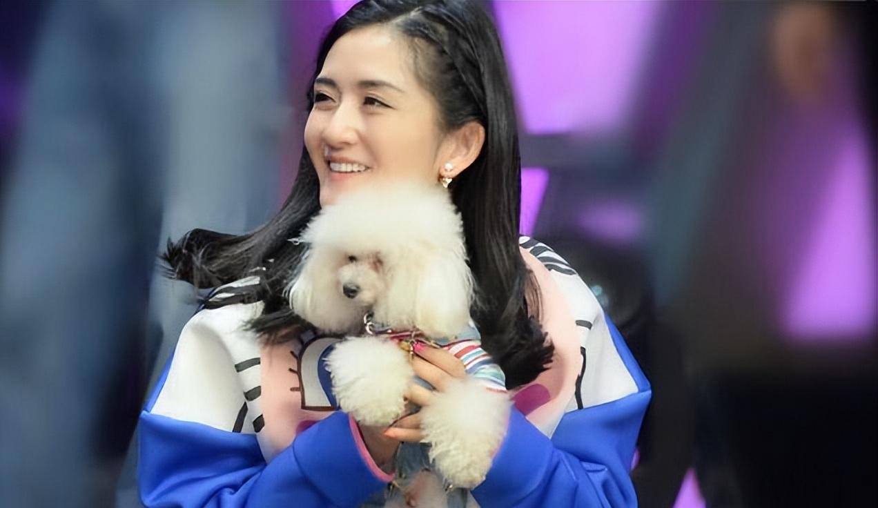 从“芒果台柱“到跌落神坛，这9位红极一时的主持人，经历了什么？