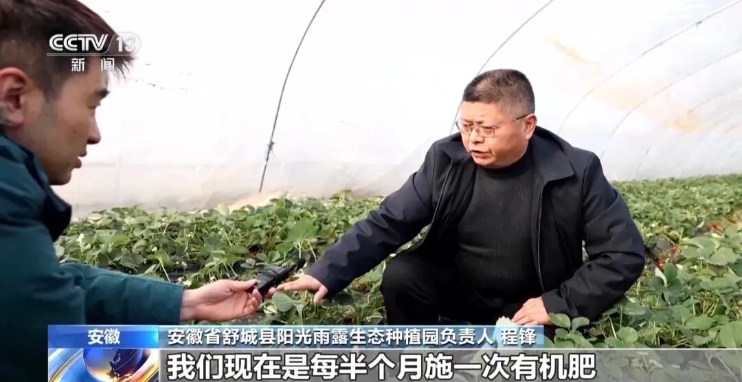【有机肥产业】探索多种技术模式 有机肥“点粪成金”