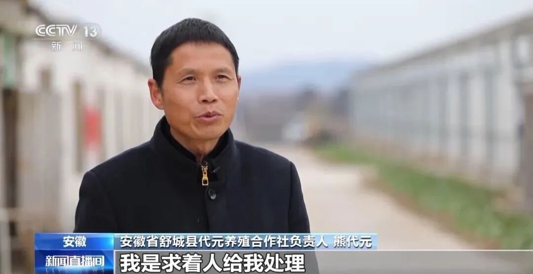 【有机肥产业】探索多种技术模式 有机肥“点粪成金”