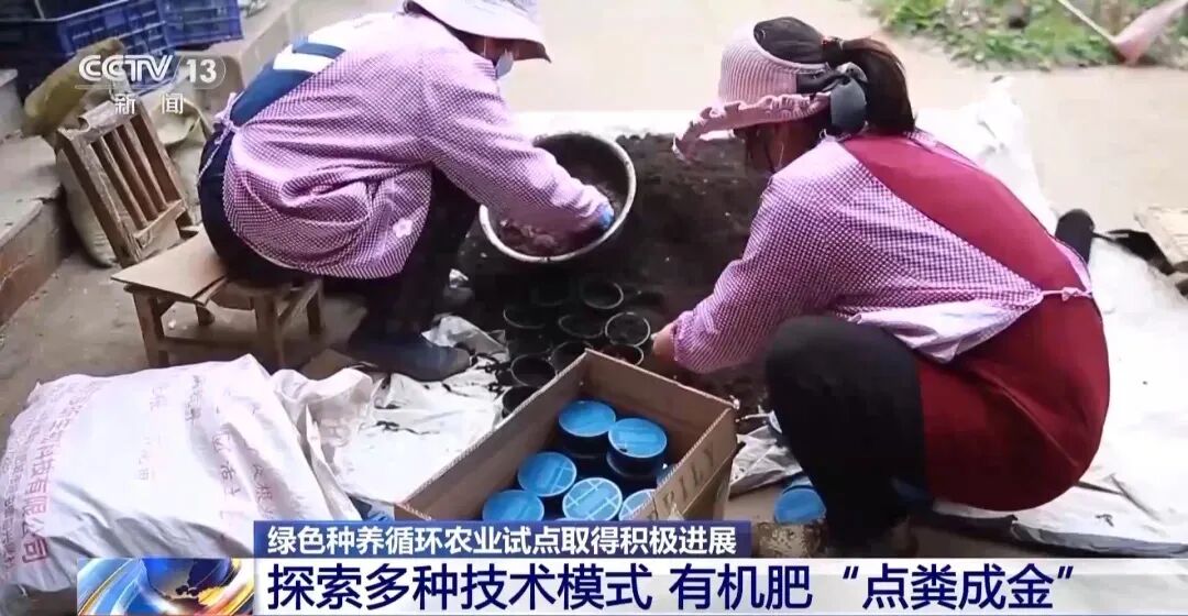 【有机肥产业】探索多种技术模式 有机肥“点粪成金”