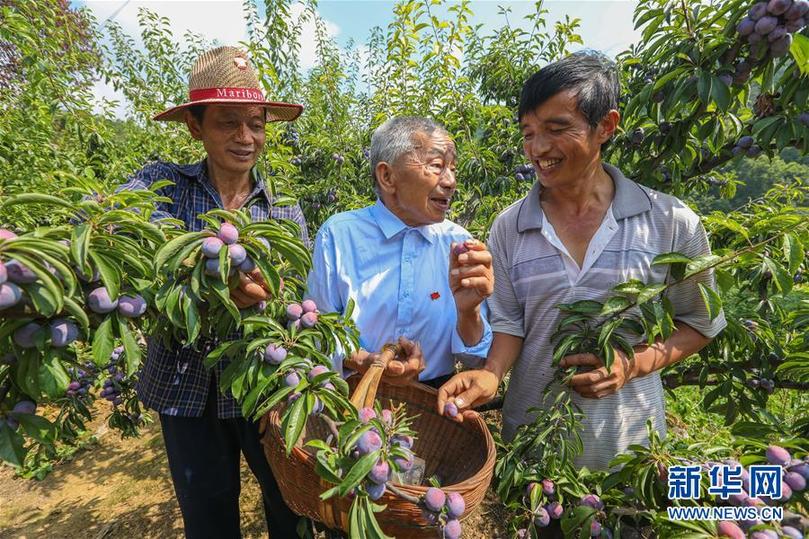山乡巨变——来自贵州扶贫一线的报告