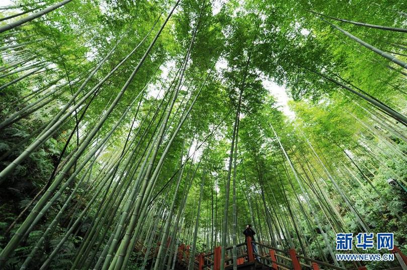 山乡巨变——来自贵州扶贫一线的报告