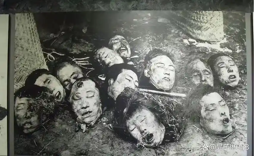 三一八惨案：正视淋漓的鲜血，铭记历史的教训！