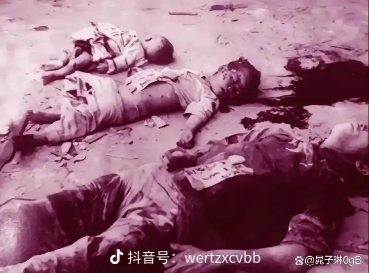 三一八惨案：正视淋漓的鲜血，铭记历史的教训！