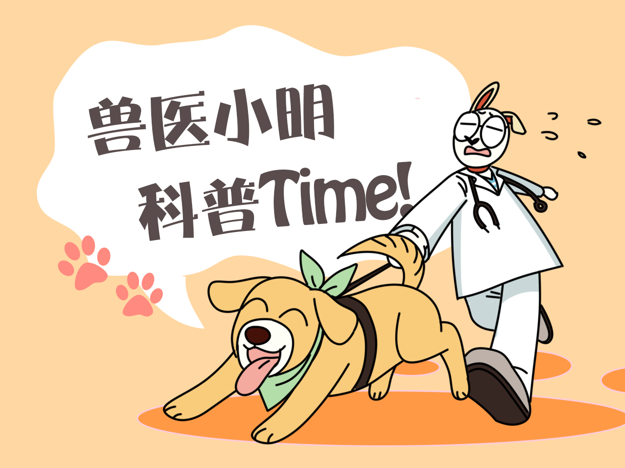 朋友花大价钱买的德牧，买回来觉得有些奇怪：莫不是被骗了？