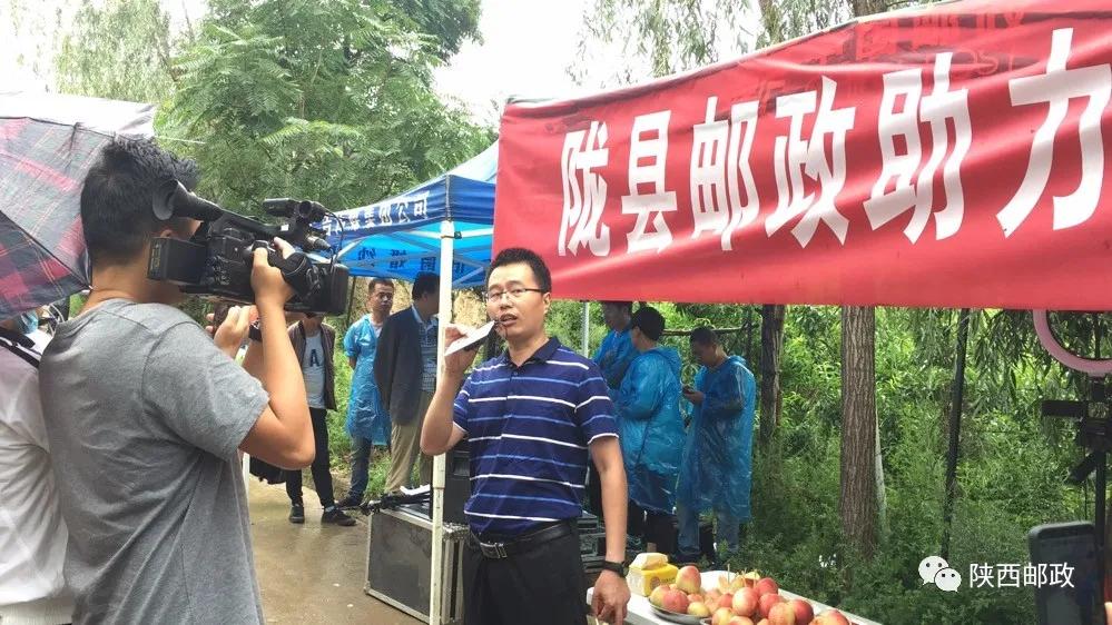 讲好邮政故事㉞|陇县分公司的“直播造包经”