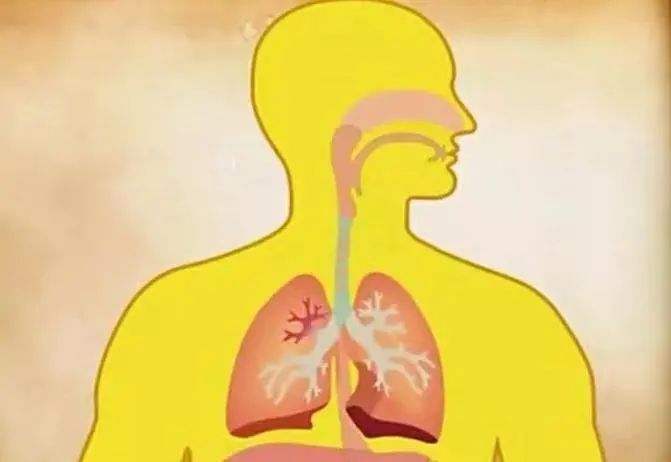 长期喝白开水和长期喝茶，谁的身体更健康？答案出乎意料……