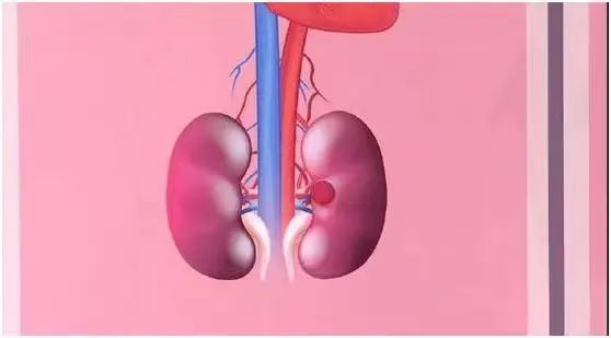 长期喝白开水和长期喝茶，谁的身体更健康？答案出乎意料……