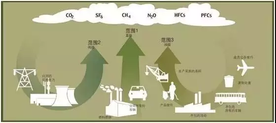 森林锐减与温室效应，到底有怎样的关联？