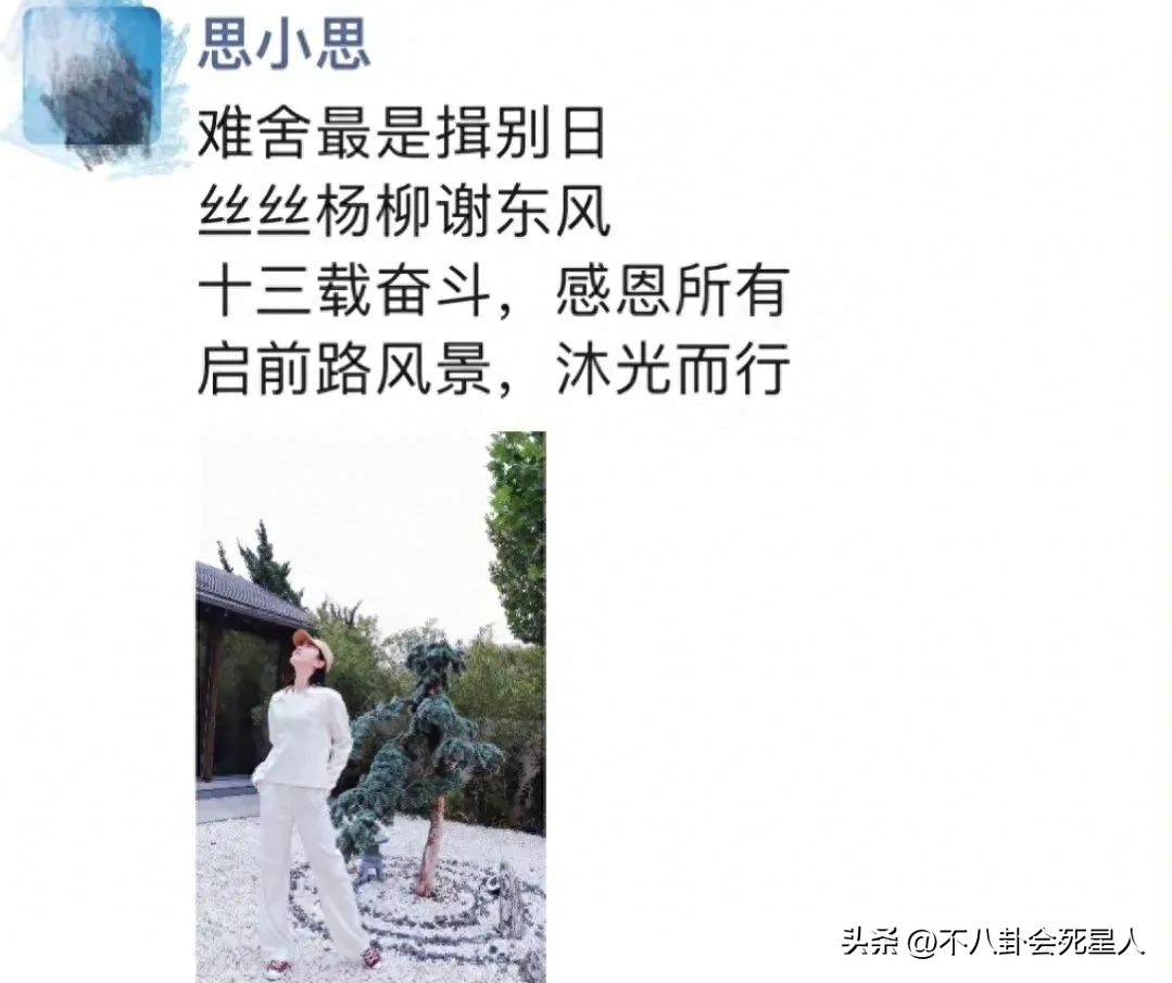 央视主持大洗牌：多位美女主持出走，新人被力捧，一哥地位不动摇