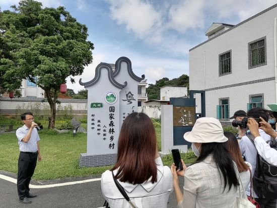 广东茂名市打造乡村振兴“样板” 幸福新农村画卷亮眼