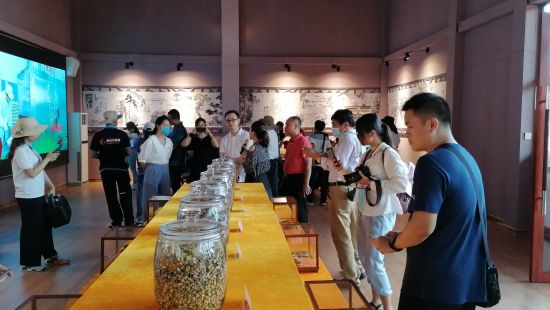 广东茂名市打造乡村振兴“样板” 幸福新农村画卷亮眼