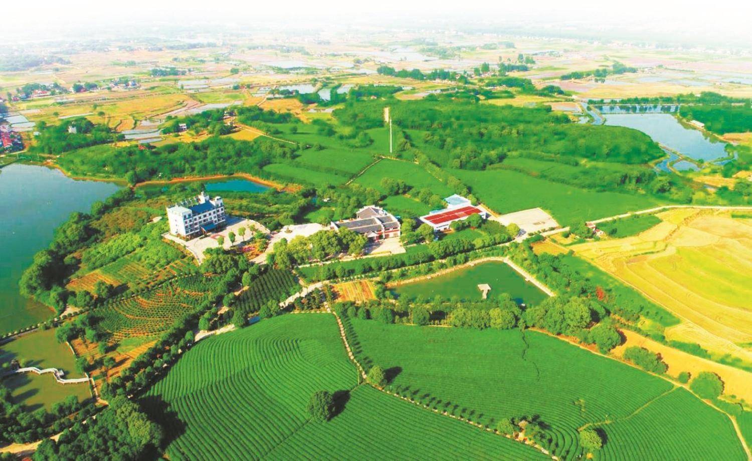石首巩固脱贫成果推进乡村振兴纪实：绘就美丽乡村新画卷