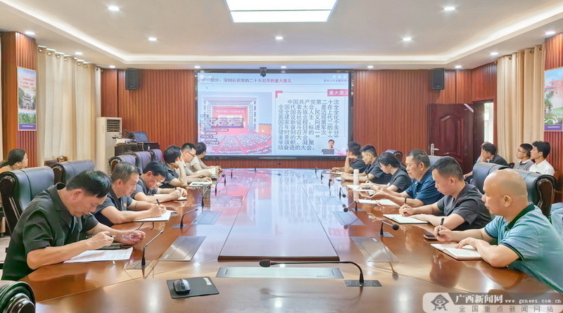 东兰对全县上万名基层党员进行专题培训