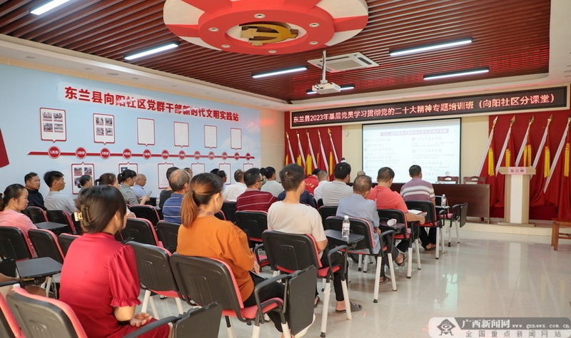 东兰对全县上万名基层党员进行专题培训